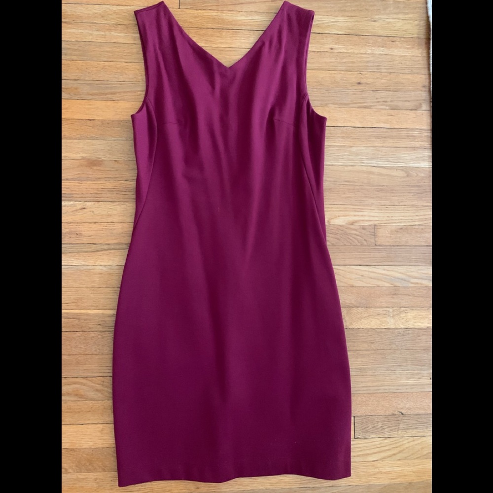Aritzia Babaton Sheath Dress